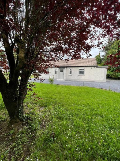 Ballybur Cottage Κίλκενι Εξωτερικό φωτογραφία
